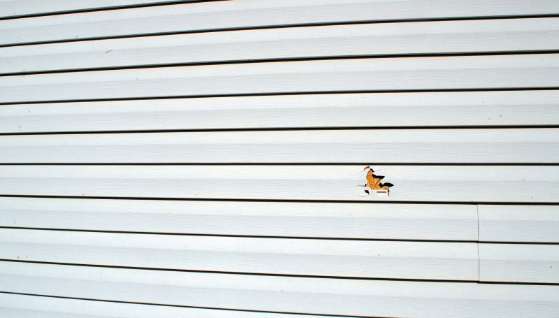 Siding Maintenance and Inspection